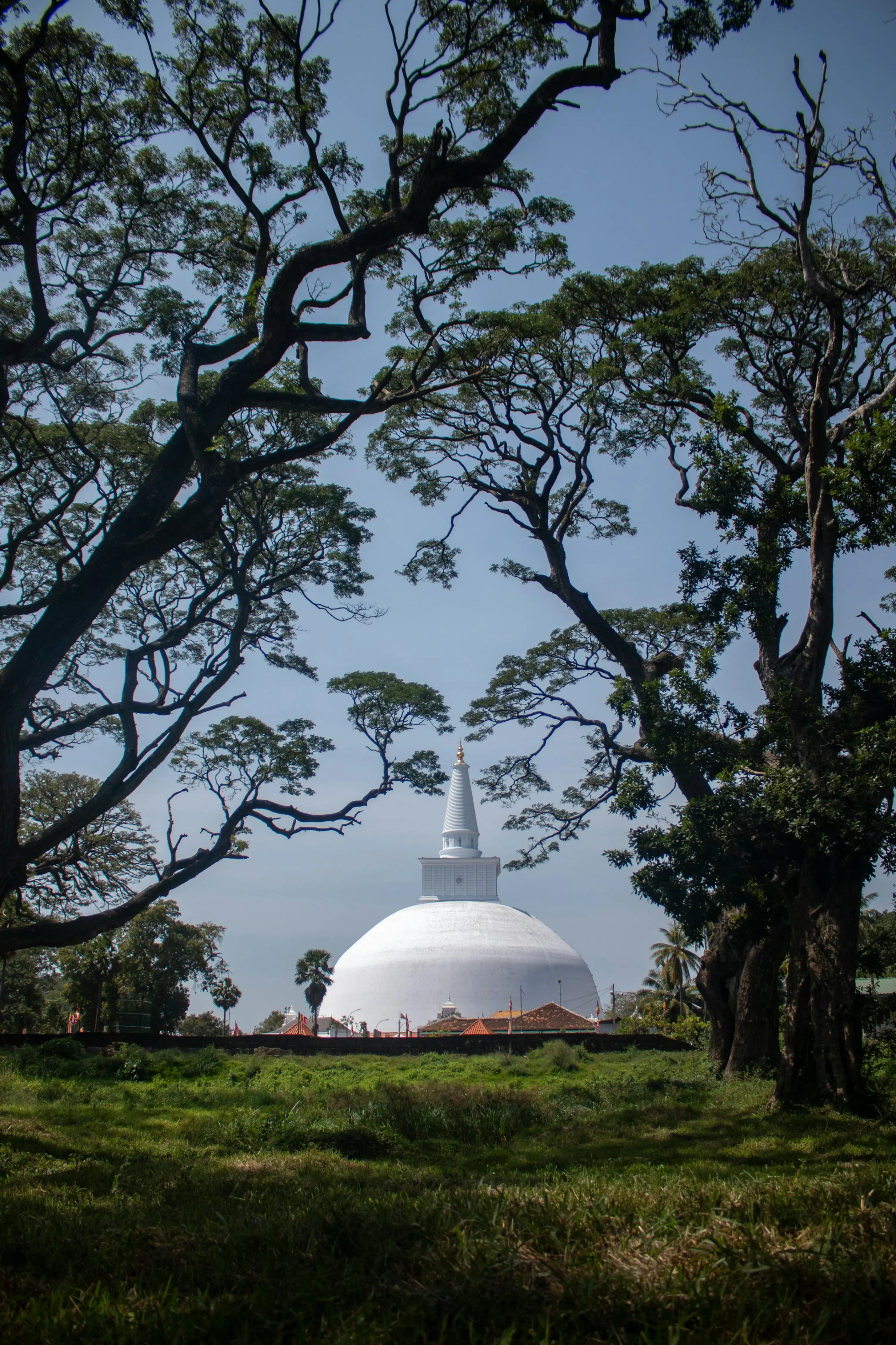 Anuradhapura