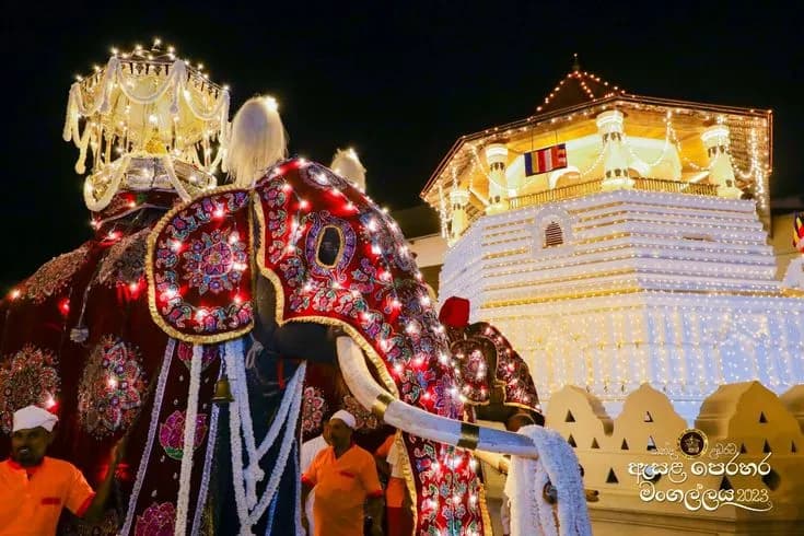 Kandy Perahera Elephants — the starting point for most travellers heading to Kandy for the Perahera