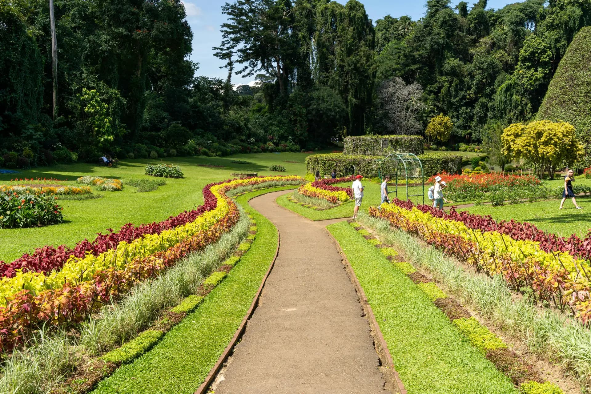 Kandy image