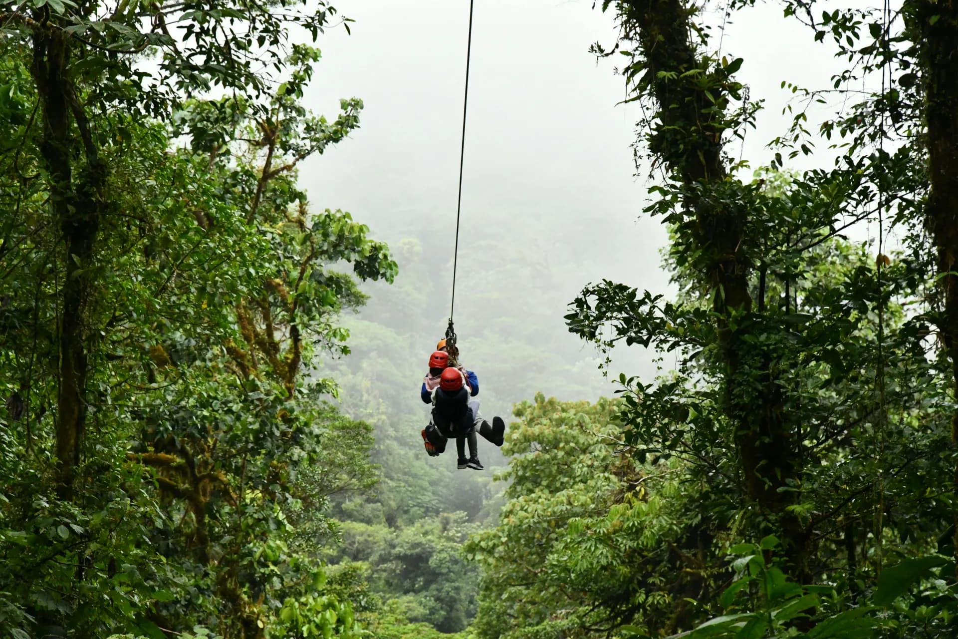 Zip-line rider soaring above tea estates and mountain valleys in Ella, Sri Lanka